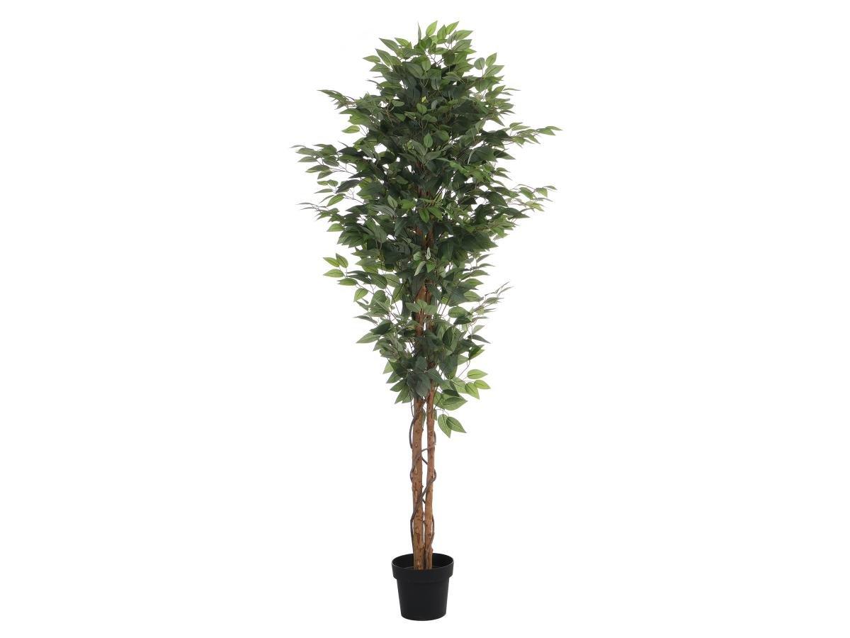 Vente-unique Kunstpflanze Ficus mit Topf - 180 cm - VALOPA  