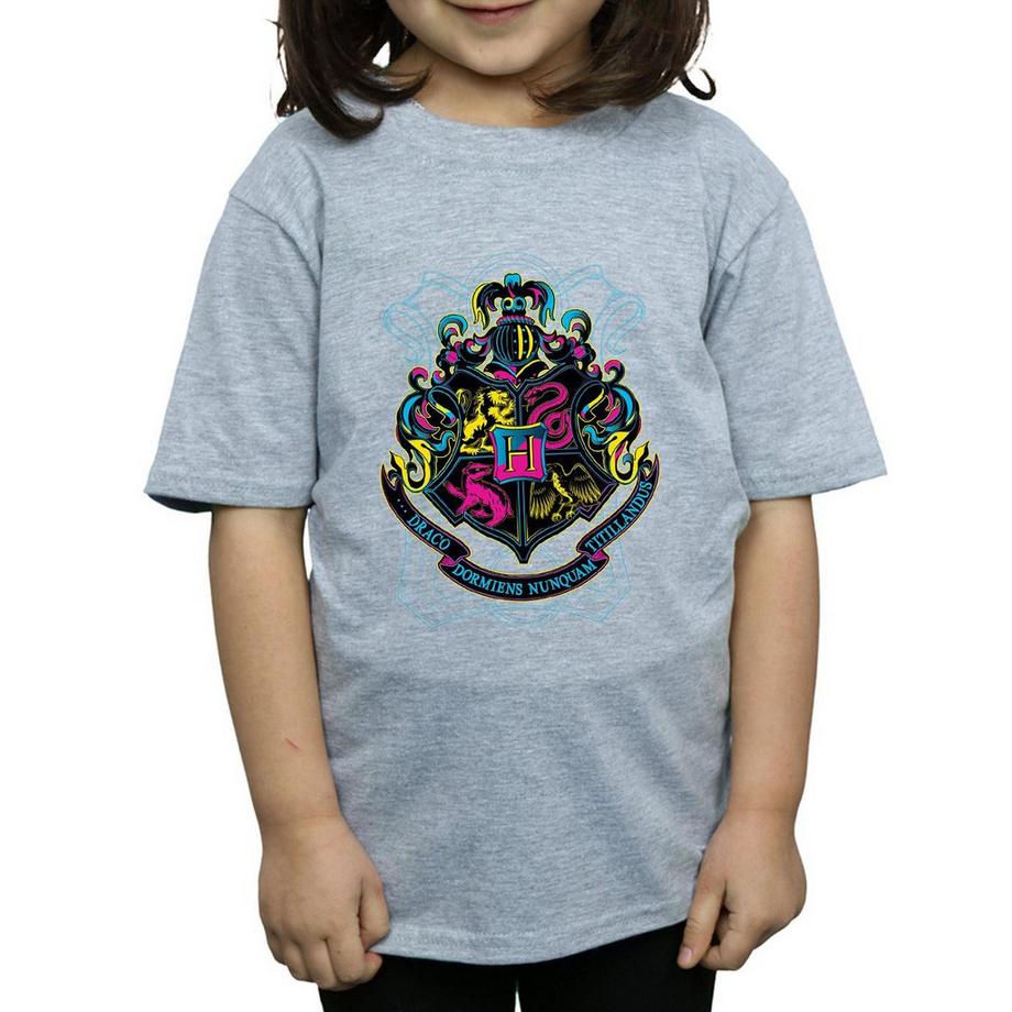 Harry Potter  Hogwarts TShirt 