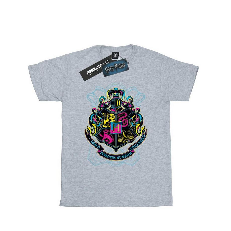 Harry Potter  Hogwarts TShirt 