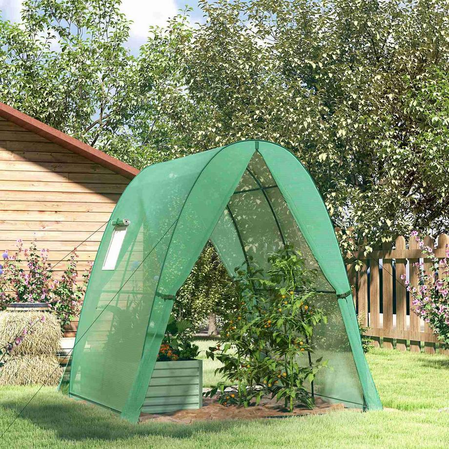 Northio Serra con porta scorrevole, 2 finestre, serra in lamina d'acciaio resistente all'inverno, serra per balcone, giardino, serra per pomodori 180 x 180 x 200 cm, serra per pomodori, verdure, fiori, verde  