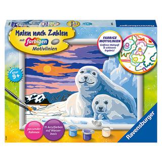 Ravensburger  Malen nach Zahlen Niedliche Robben 