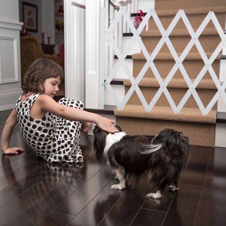 Northix  Rail rétractable pour chien en blanc 