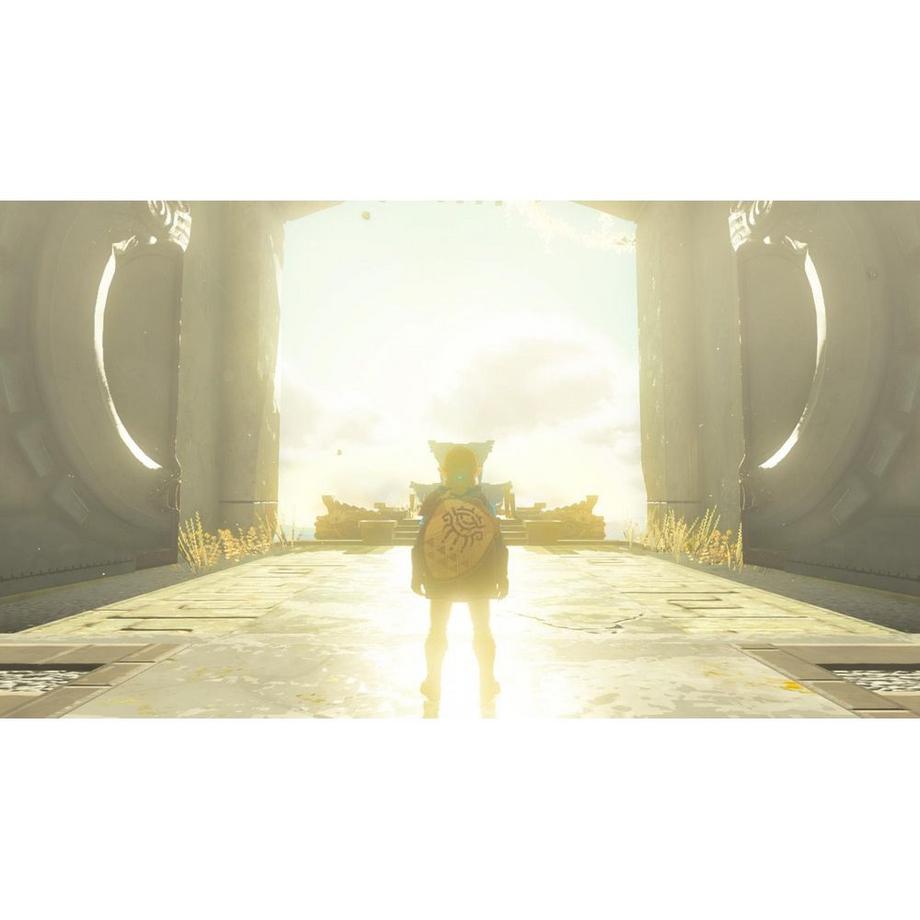 Nintendo  Switch The Legend of Zelda: Tears of the Kingdom 