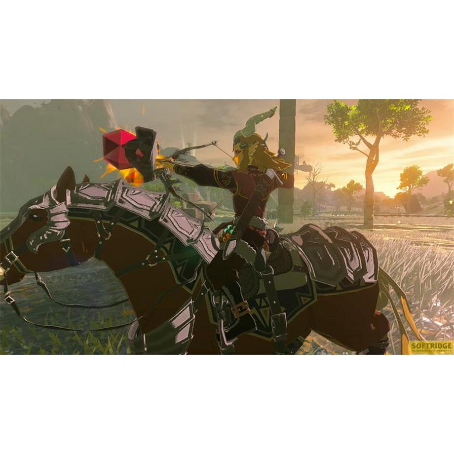 Nintendo  Switch The Legend of Zelda: Tears of the Kingdom 