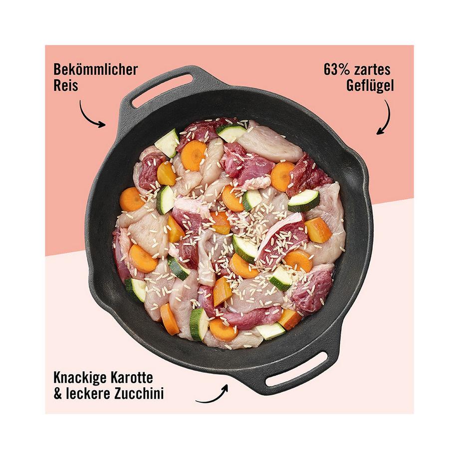 Dogs'n Tiger  Menu gourmand bec vert 