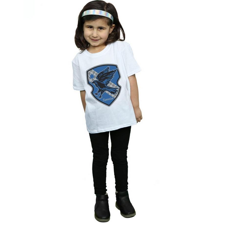 Harry Potter  Ravenclaw TShirt 