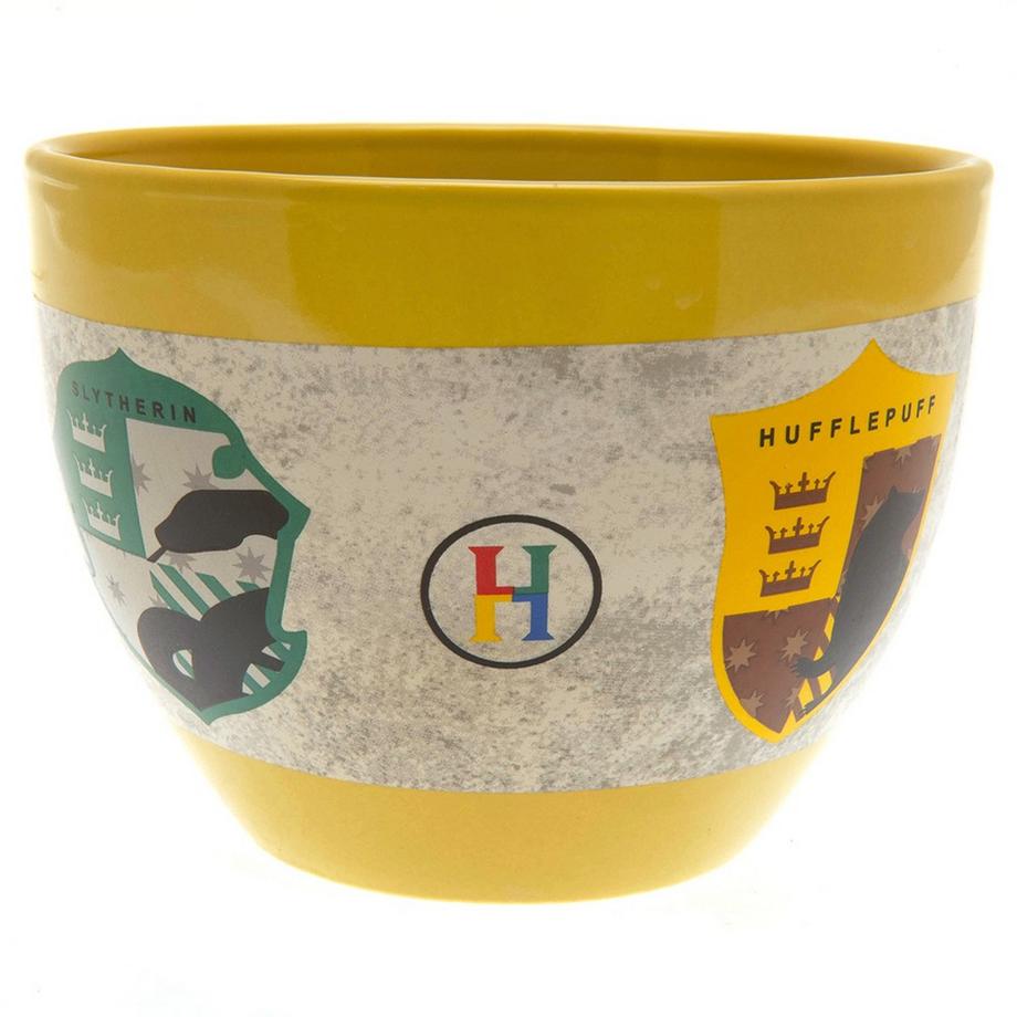 Harry Potter Mug sans anse  