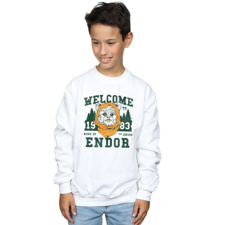 STAR WARS  Endor Camp Sweatshirt 