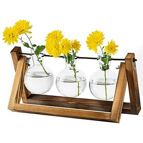 Alopini Vermehrungsstation Für Pflanzen Upgrade Zwiebel Vase Pflanzer Mit Holzständer Glas Blumentopf Innen  