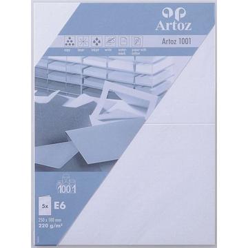 ARTOZ Karten 1001 E6, 5 Blatt