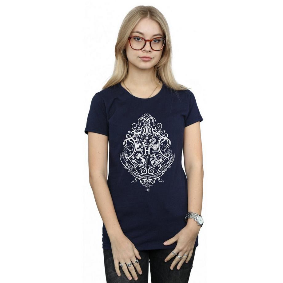 Harry Potter Hogwarts Draco Dormiens T-Shirt  