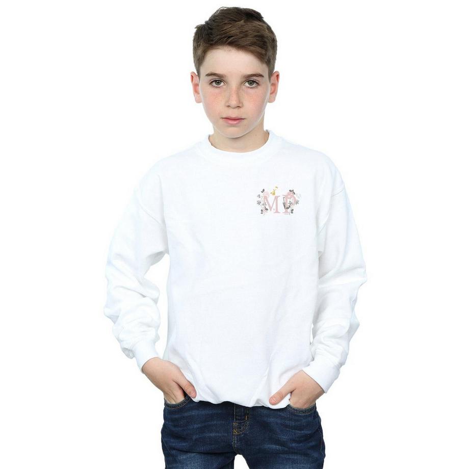 Disney  Sweatshirt 