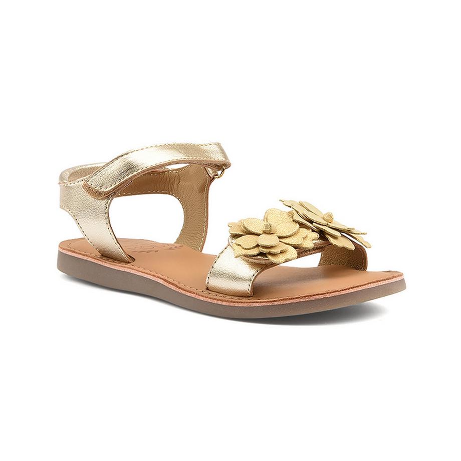 Mod'8  Mo Cloneha-32 