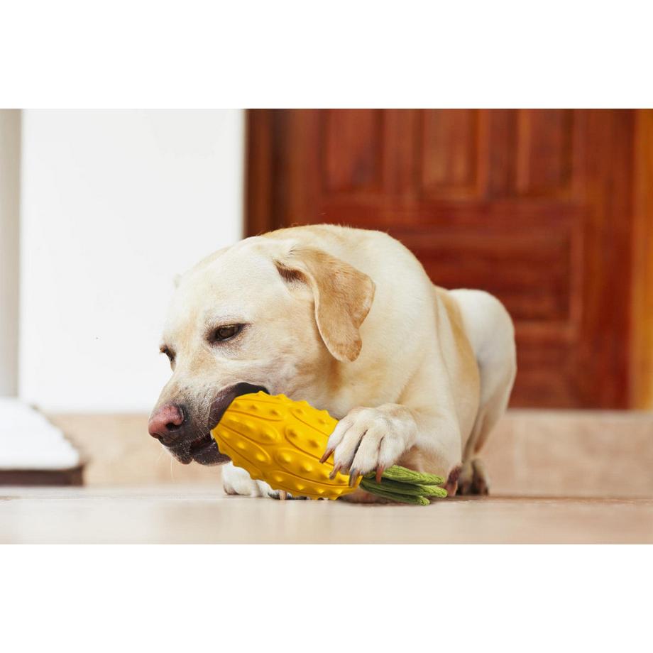 Alopini  Jouet à Mâcher Pour Chien, Jouet Pour Chien Grinçant 