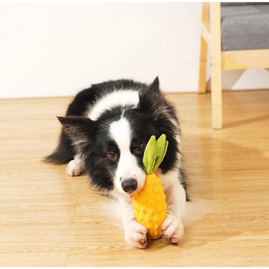 Alopini  Jouet à Mâcher Pour Chien, Jouet Pour Chien Grinçant 