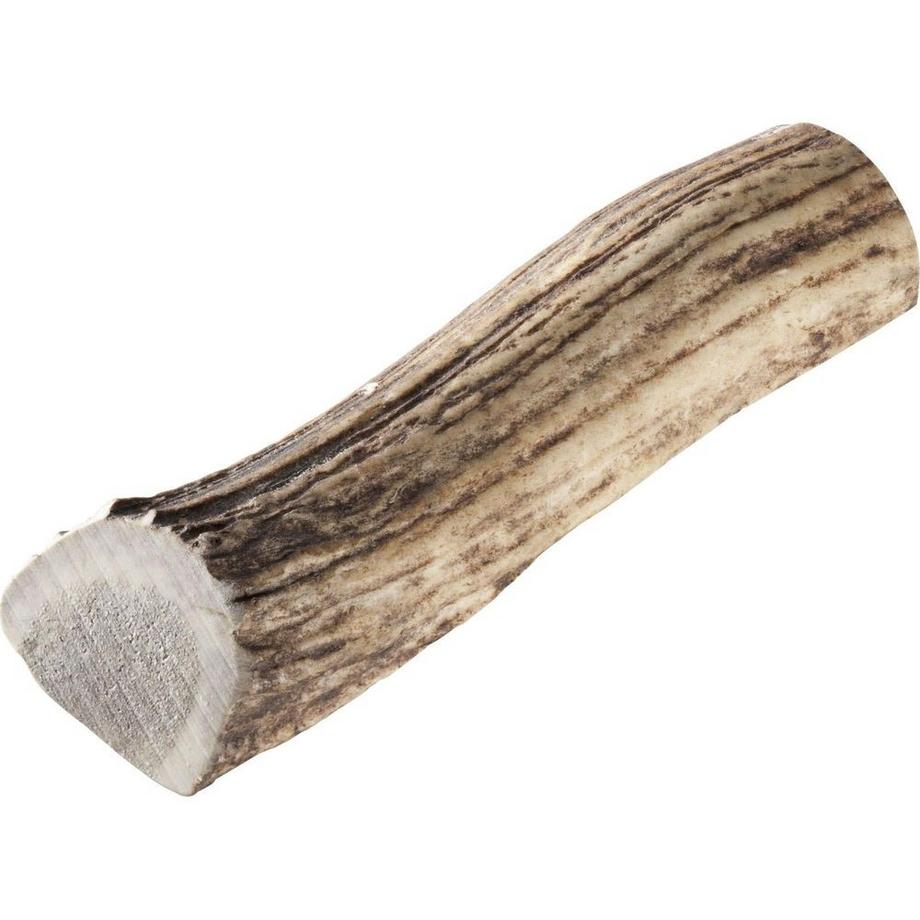 Chewies  polonais bois de cerf rouge L 