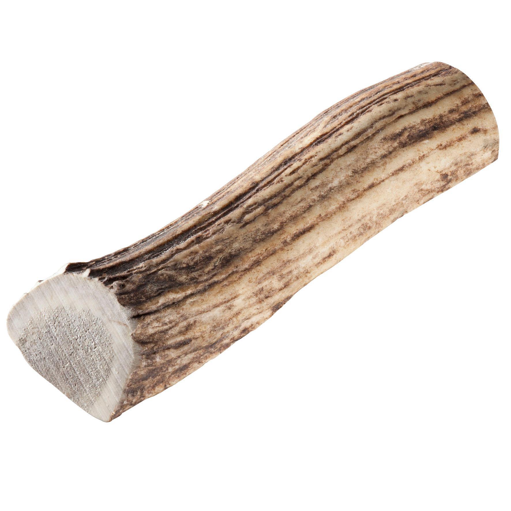 Chewies  polonais bois de cerf rouge L 