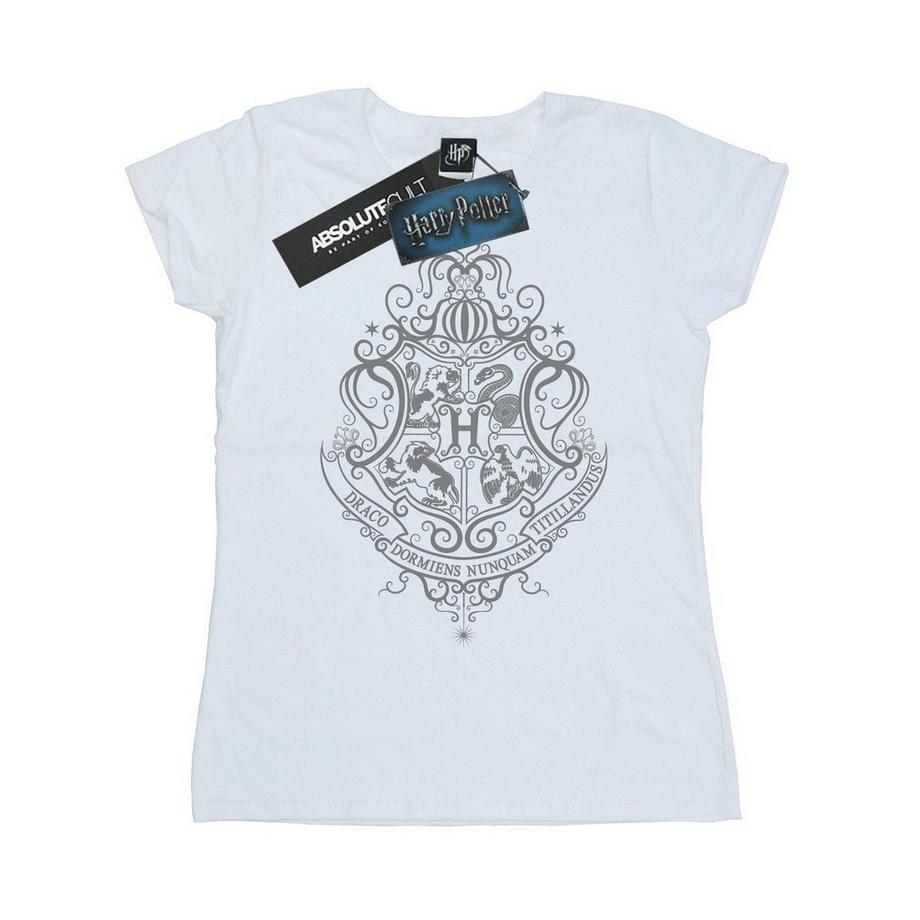 Harry Potter Hogwarts Draco Dormiens T-Shirt  