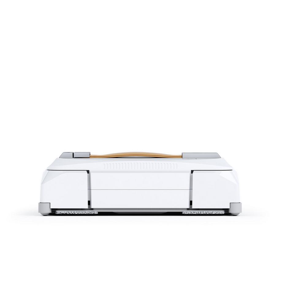 EcoFlow  Winbot W1 Pro 