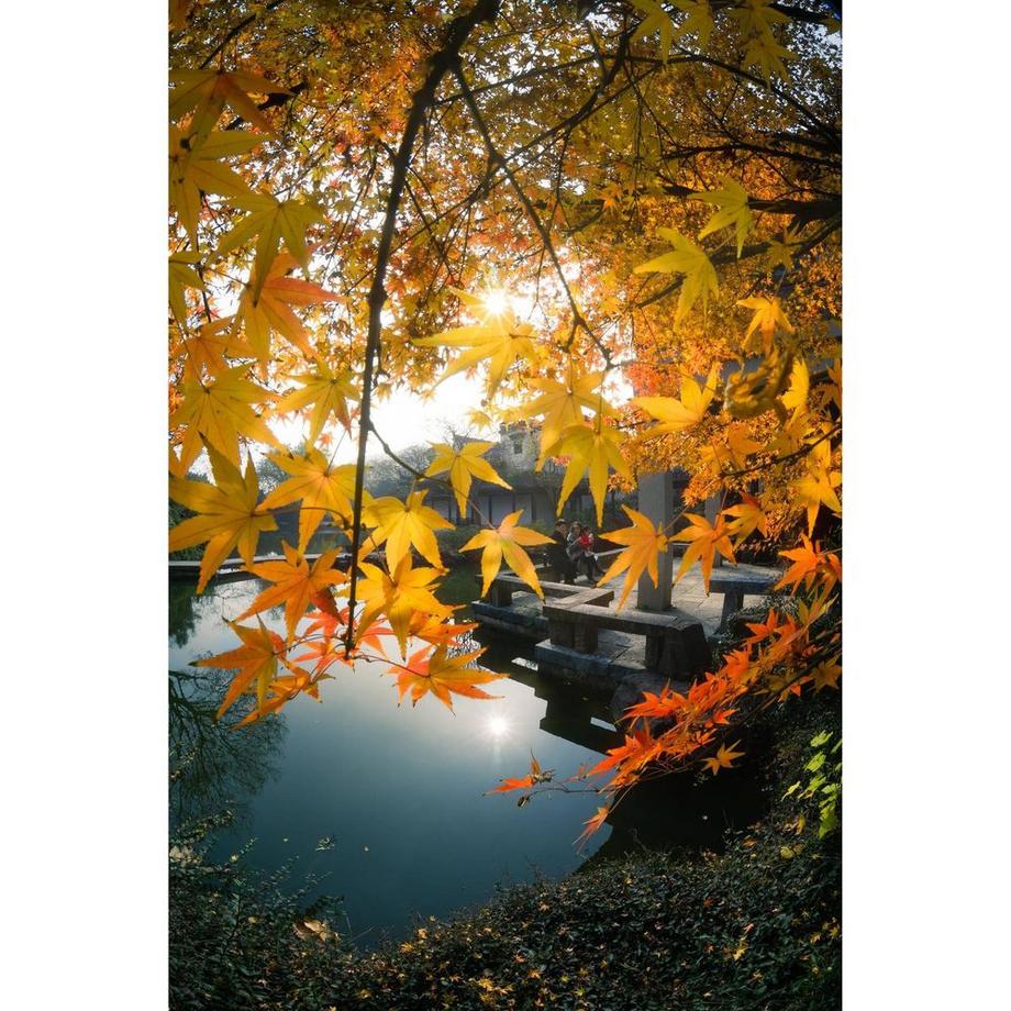 7ARTISANS  7ARTISANS 