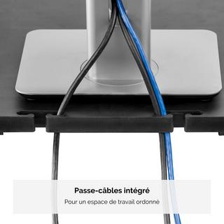 Fellowes  FELLOWES Monitor Ständer Standard 9169301 