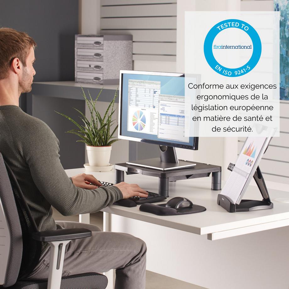 Fellowes  FELLOWES Monitor Ständer Standard 9169301 