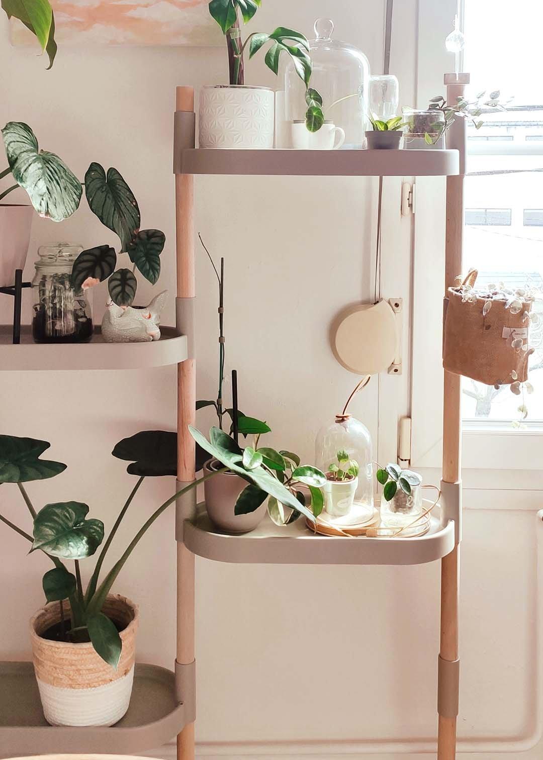 CitySens Scaffali per piante  