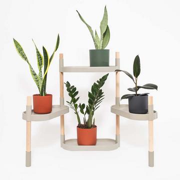 Scaffali per piante