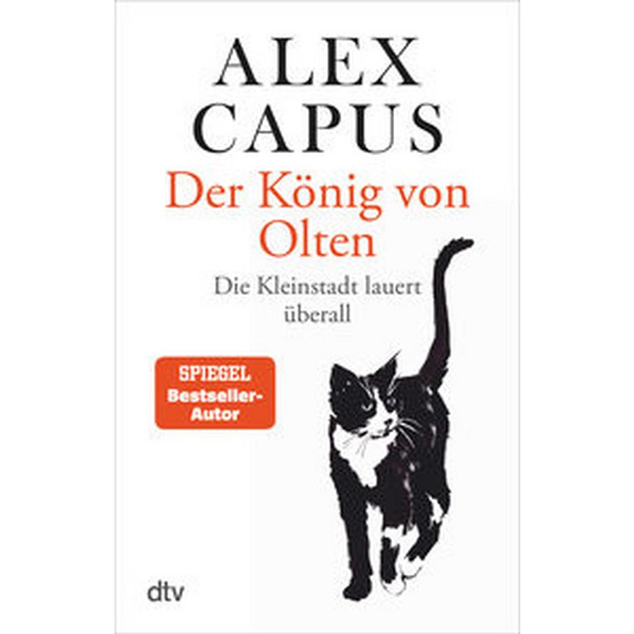 DTV  Der König von Olten 