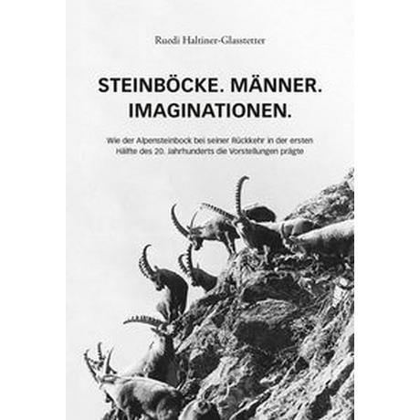 Steinböcke. Männer. Imaginationen Haltiner-Glasstetter, Ruedi; Haltiner, Rudolf (Hrsg.) Couverture rigide 