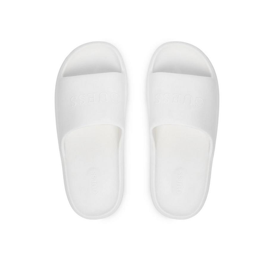 GUESS Slides  