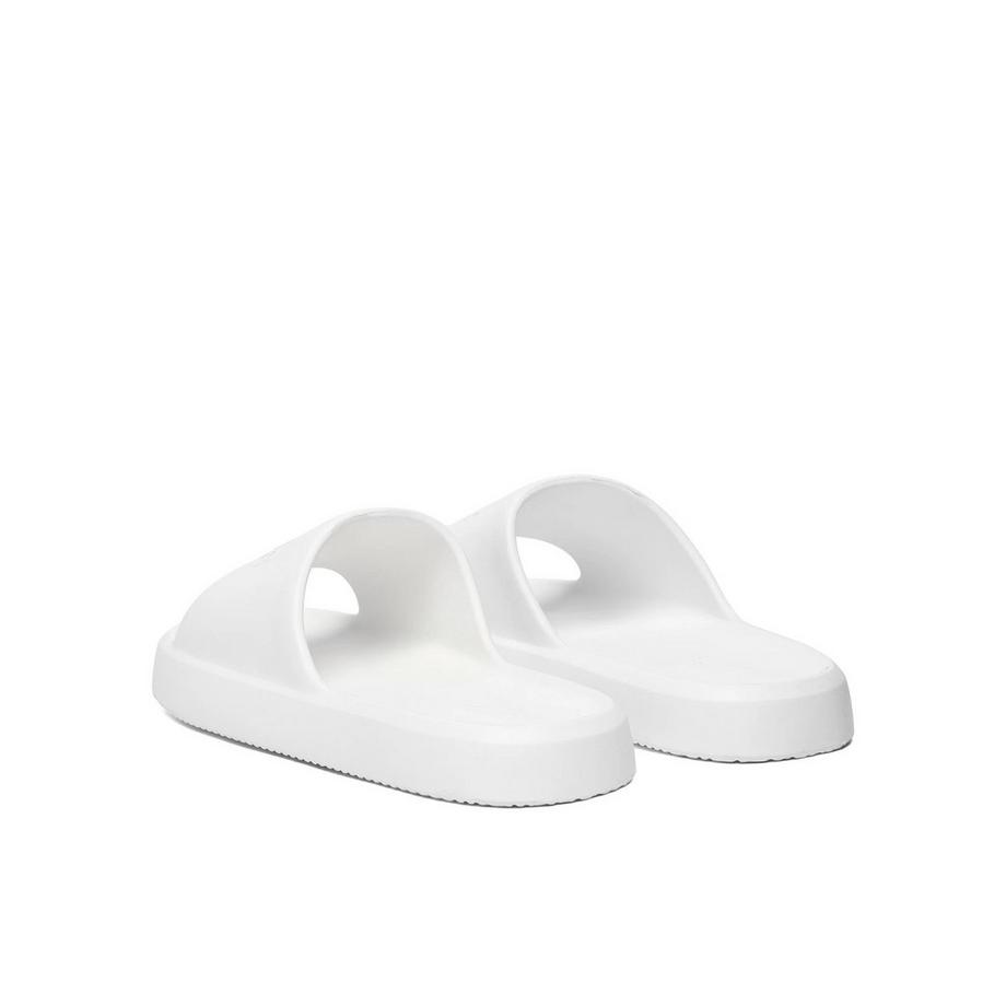 GUESS Slides  