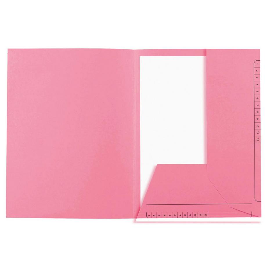 Exacompta 25er Packung Aktenmappen mit 2 Klappen SUPER 210 Contact - 24x32cm - x 5  