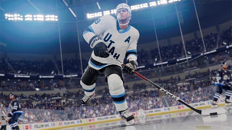 ELECTRONIC ARTS  NHL 25 