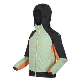 Regatta  Veste softshell PRENTON Enfant 