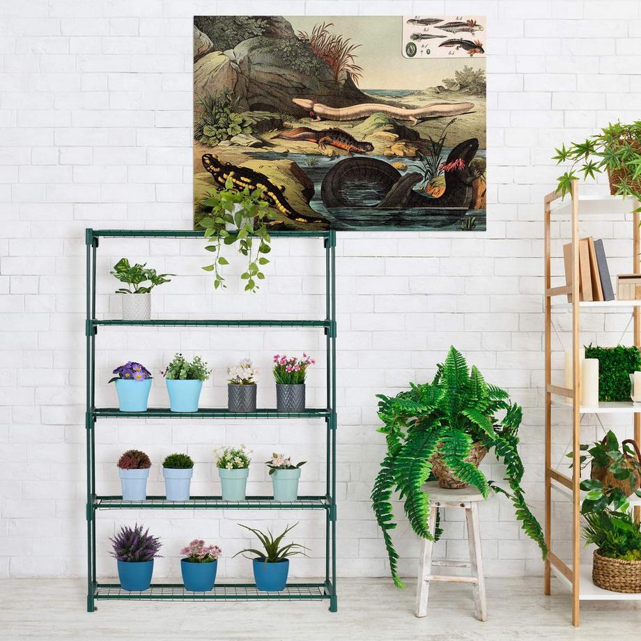 B2X Scaffale per piante 5 ripiani  