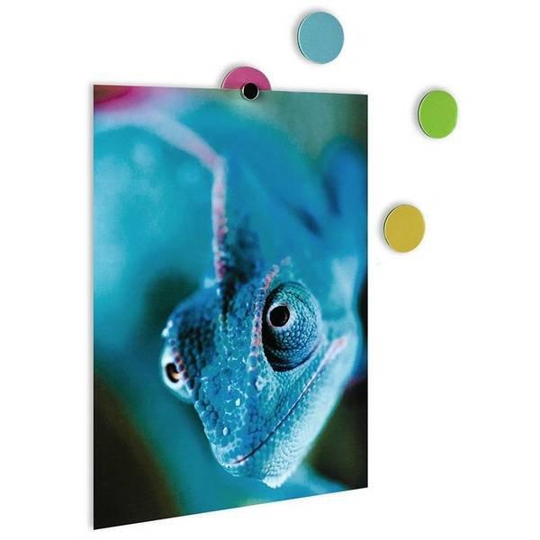 trendform Magnetpunkte ELEMENT DOT FLEX multicolor 28er Set  