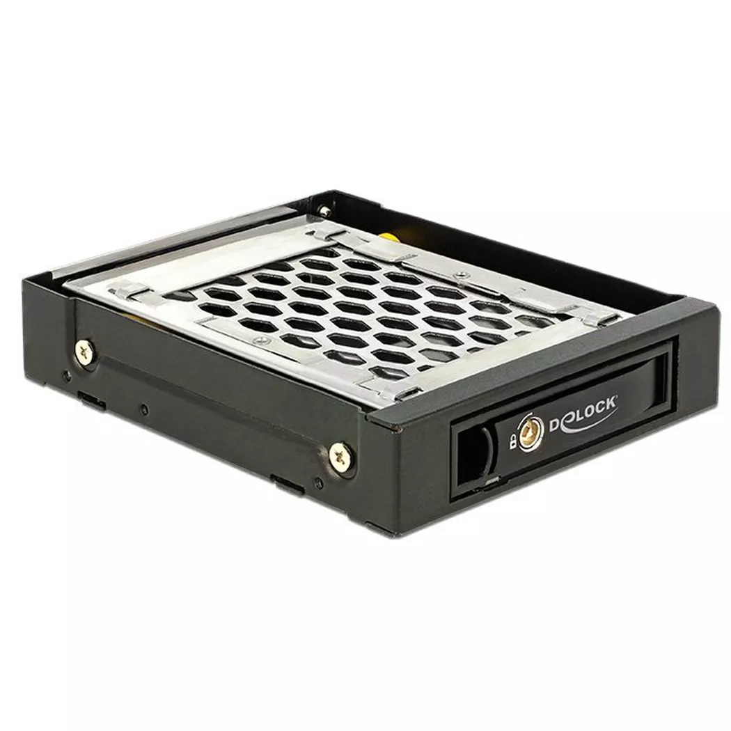 DeLock - 47228 Computer-Gehäuseteil Universal HDD-Käfig, Schwarz