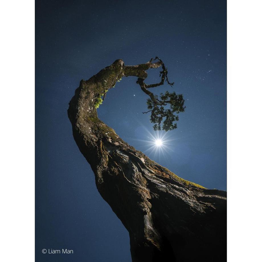 SONY  Sony FE 20-70mm F4 G 