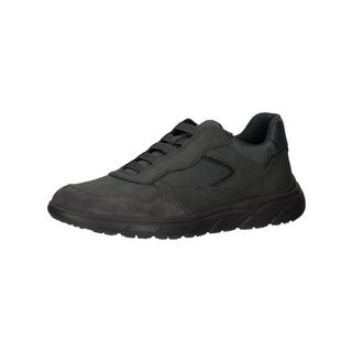 GEOX  Sneaker 