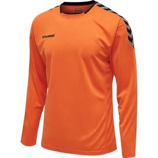 Hummel  trikot manche longue hmlauthentic poly 