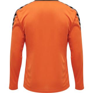 Hummel  trikot manche longue hmlauthentic poly 