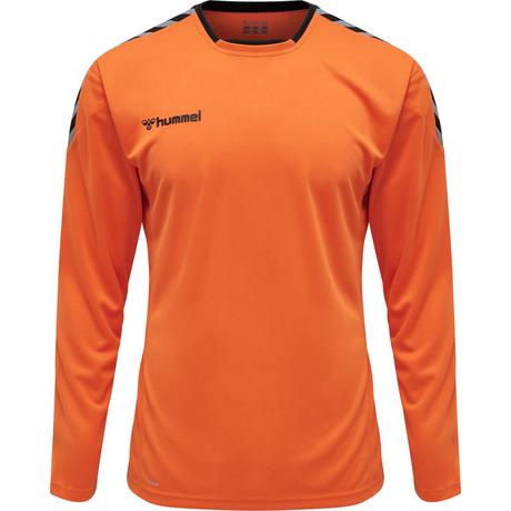 Hummel  trikot manche longue hmlauthentic poly 