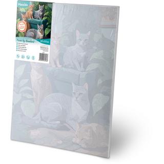 B2X Malen nach Zahlen 40x50 cm Massido Cats  