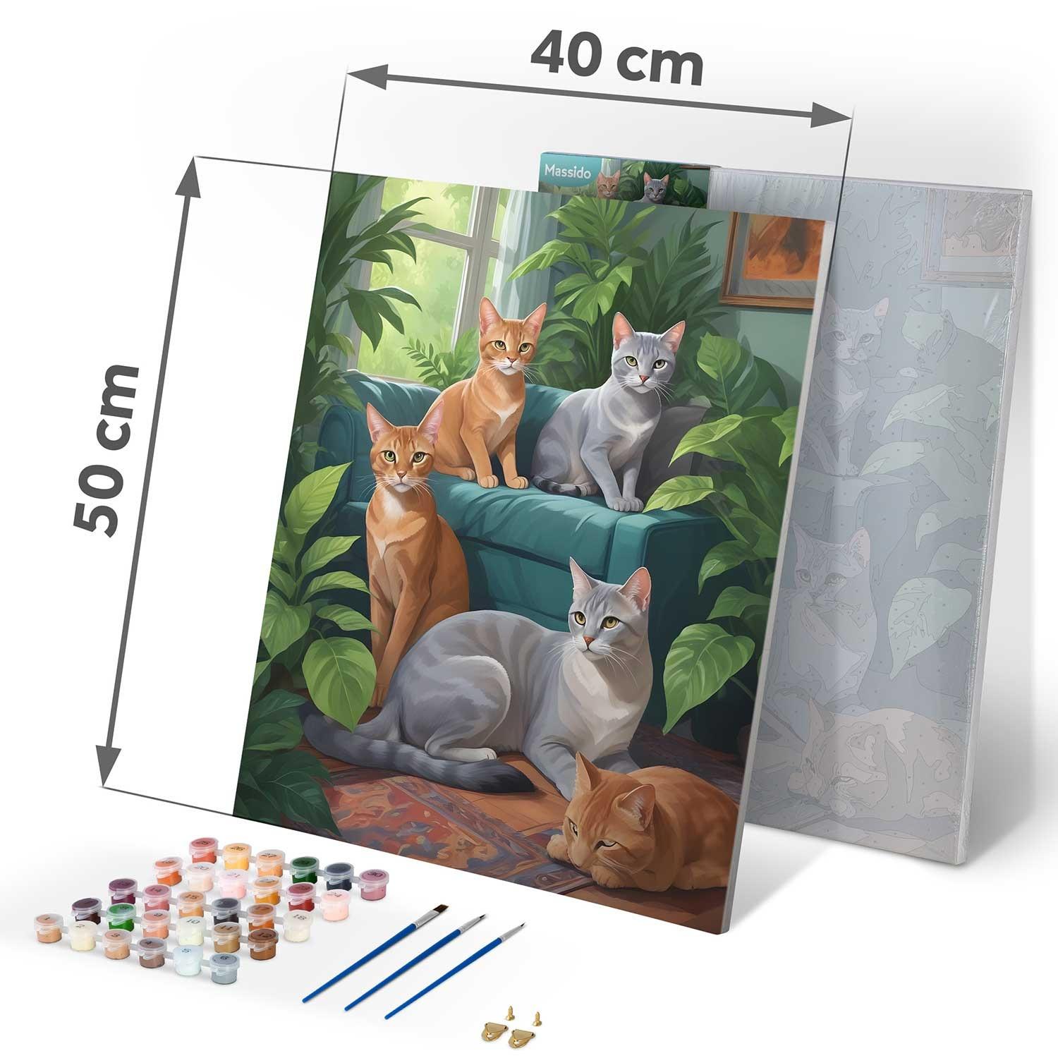 B2X Malen nach Zahlen 40x50 cm Massido Cats  