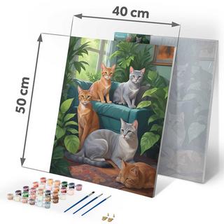 B2X Malen nach Zahlen 40x50 cm Massido Cats  