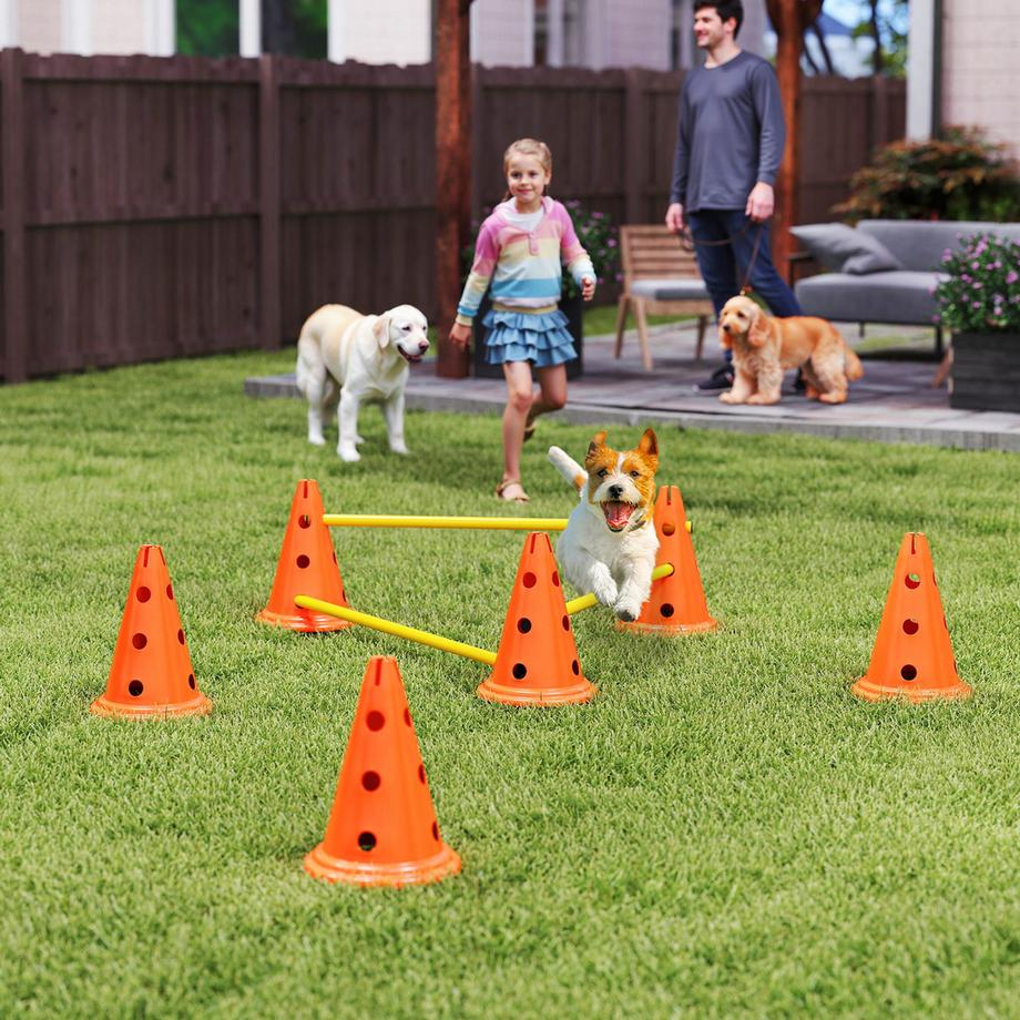 PawHut  Agility Set Hunde 
