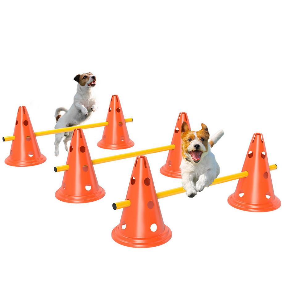 Agility Set Hunde
