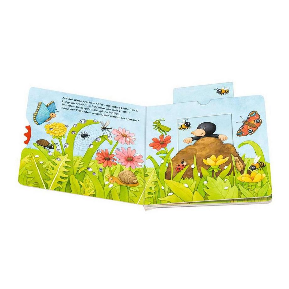 ministeps: Alles, was kribbelt und krabbelt Gernhäuser, Susanne; Neubacher-Fesser, Monika (Illustrationen) Gebundene Ausgabe 