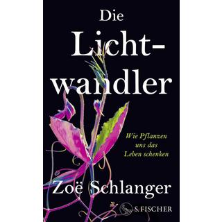 Die Lichtwandler Schlanger, Zoë; Bischoff, Laura Su (Übersetzung); Bischoff, Michael (Übersetzung) Copertina rigida 